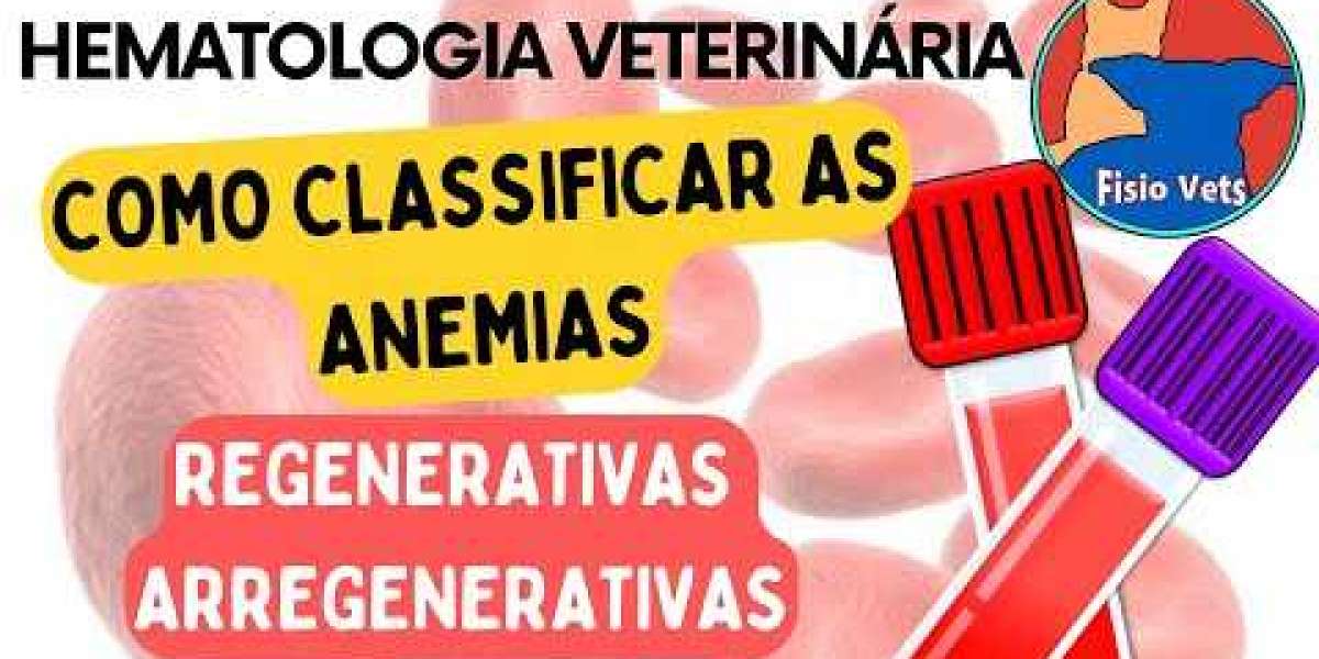 Descubra Quanto Ganha um Veterinário Recém-Formado: Salários, Benefícios e Perspectivas de Carreira!