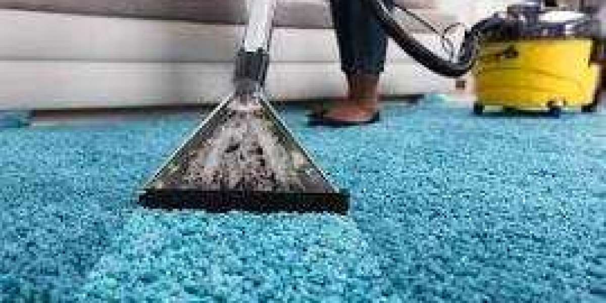 Why Every Home Needs the Expertise of Professional Carpet Cleaning