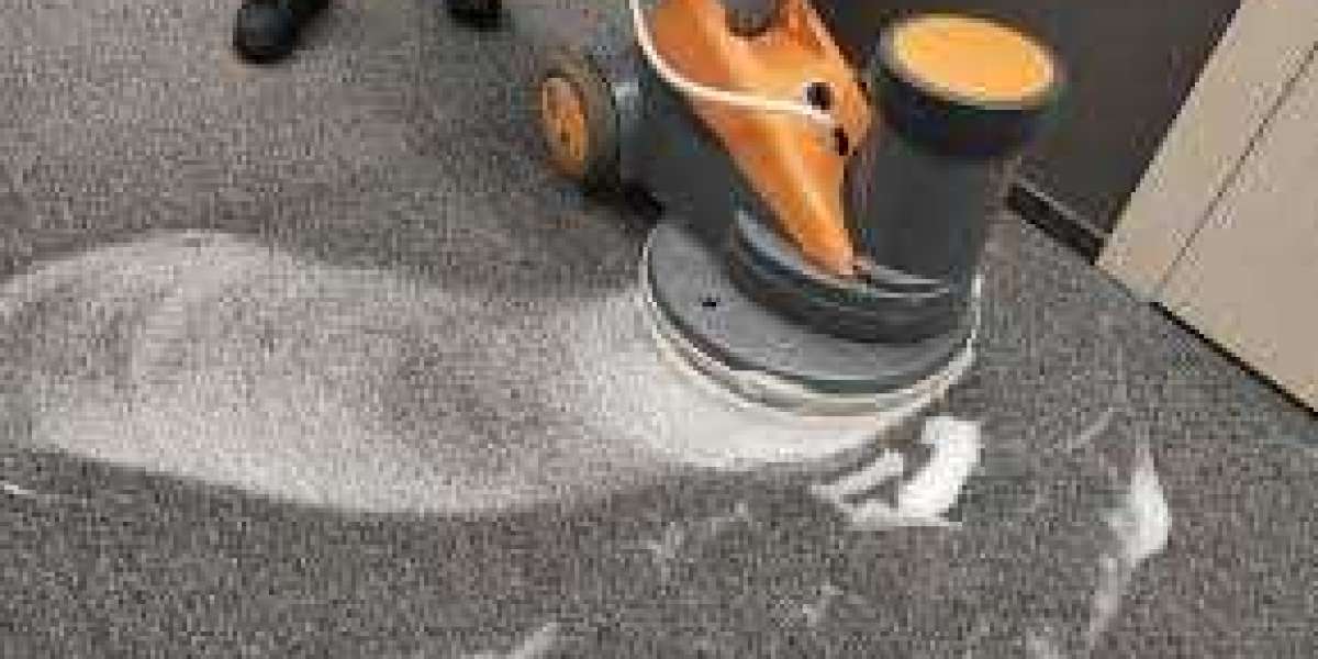 Why Regular Carpet Cleaning Is Important for Home Comfort